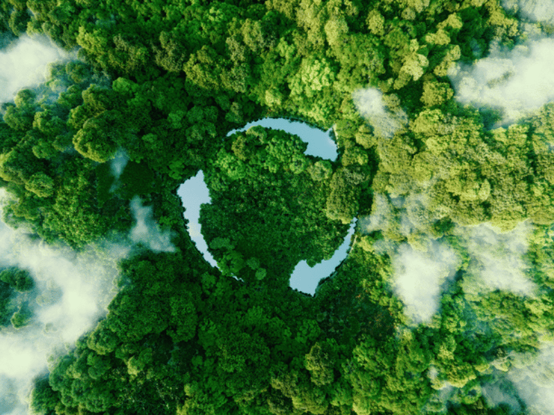 Untitled design (56)